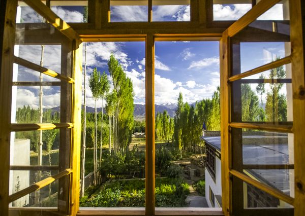 Wood Window Replacement in Midlothian